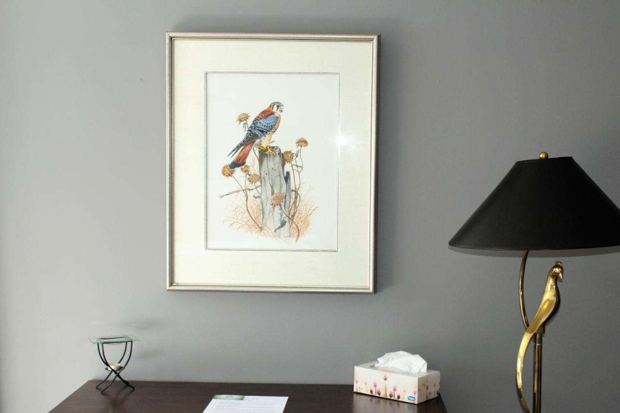 Tailwinds B&B Erin Esterno foto